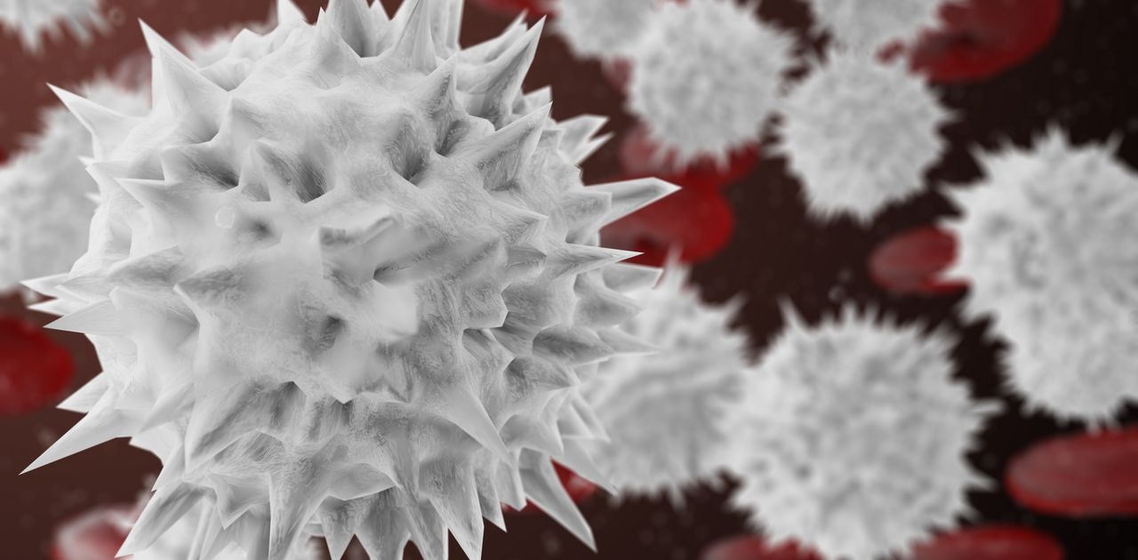 3D render Red blood cells transport oxygen to your body's organs and tissues. 