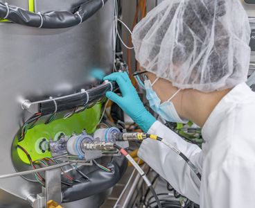 A look inside the moss bioreactor