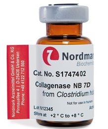 Vial of Collagenase NB 7 D Gentle Grade