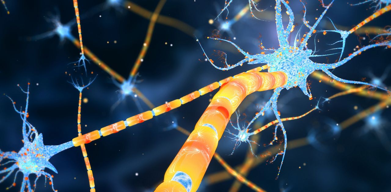 Neuronas and Synapse 3D render.