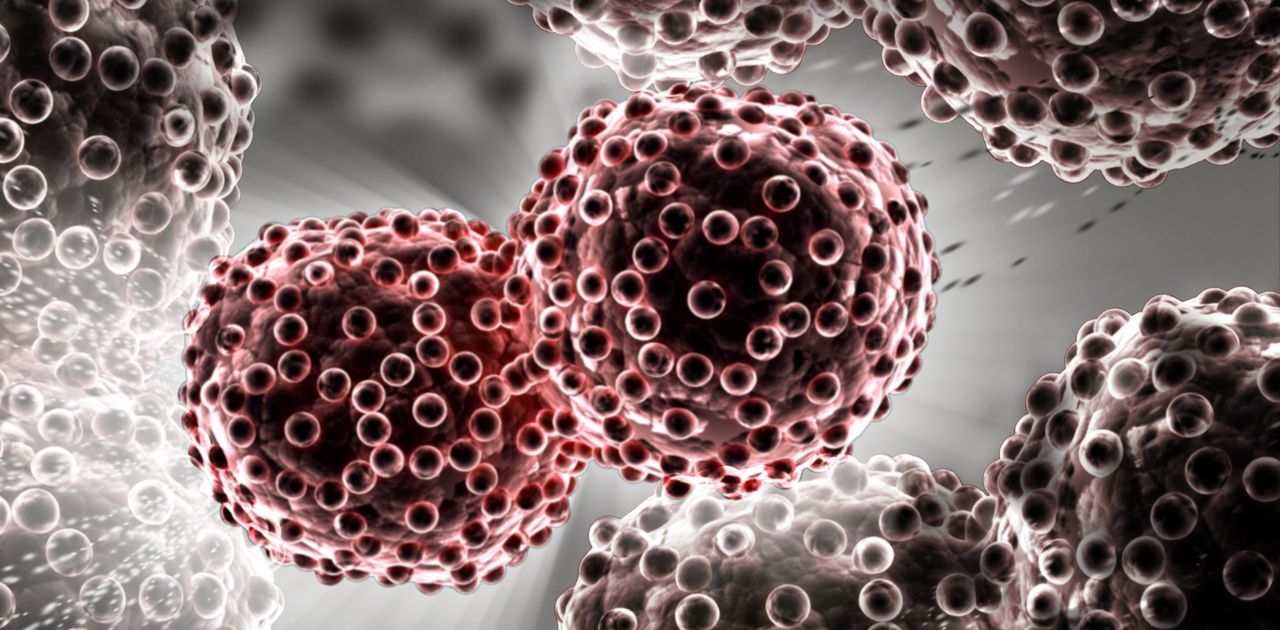 3d rendered Digital illustration of lung cancer cells in color background