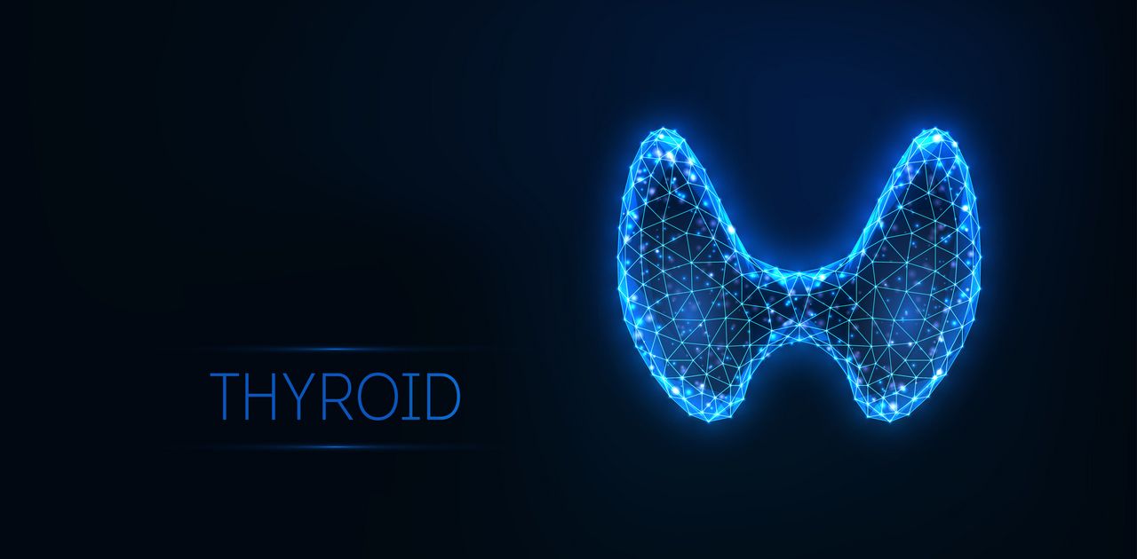 Futuristic glowing low polygonal human thyroid gland isolated on dark blue background.